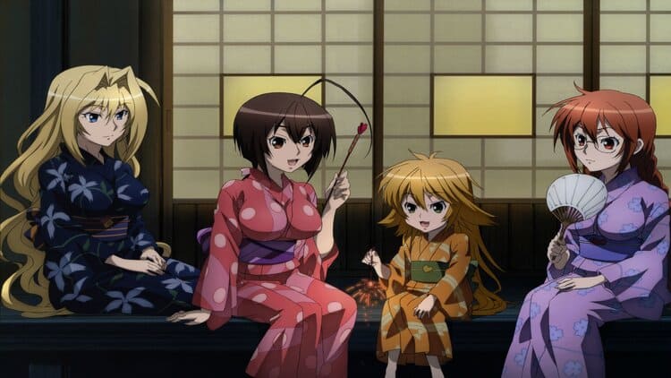 Sekirei - Best Mature Anime Series